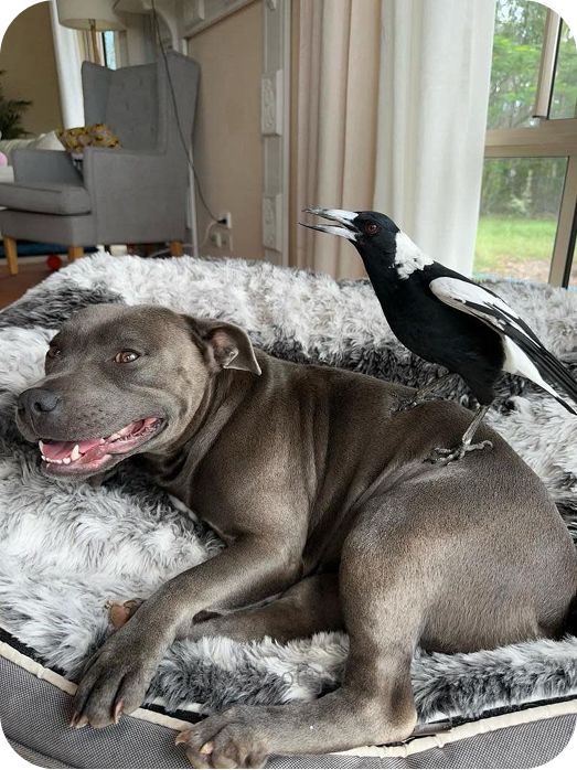 Peggy&Molly Hero Banner