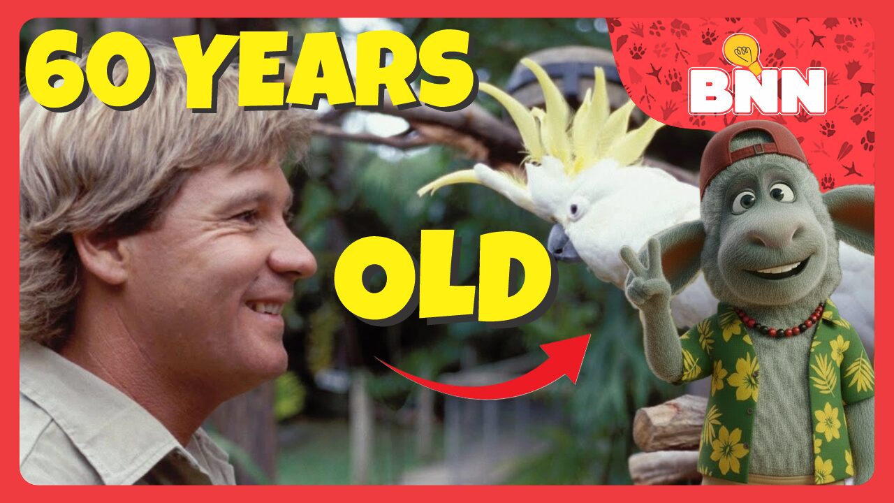 This 60 Year Old Cockatoo Still Loves Robert Irwin