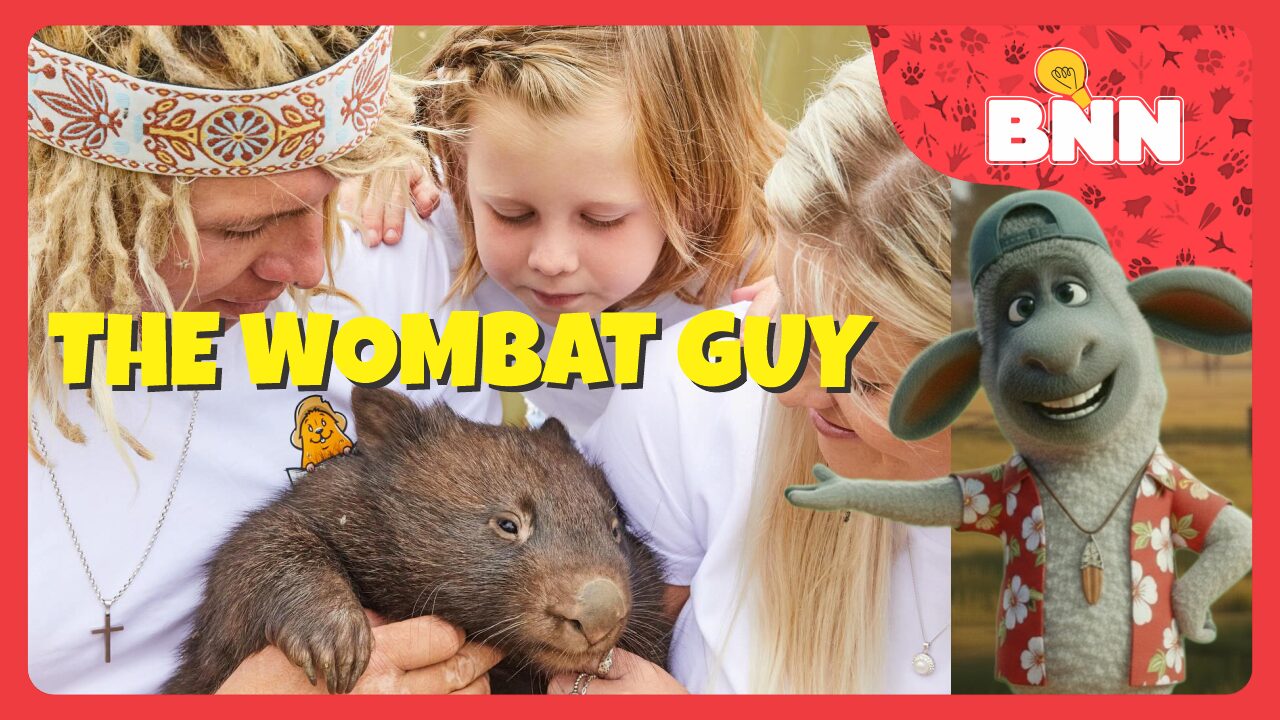 Josh Neille -The Wombat Guy Saving Aussie Wildlife 